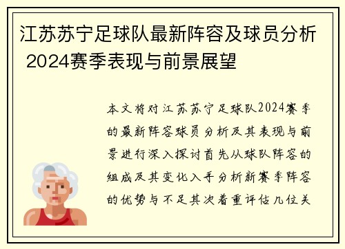 江苏苏宁足球队最新阵容及球员分析 2024赛季表现与前景展望